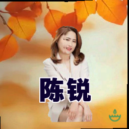 陈锐