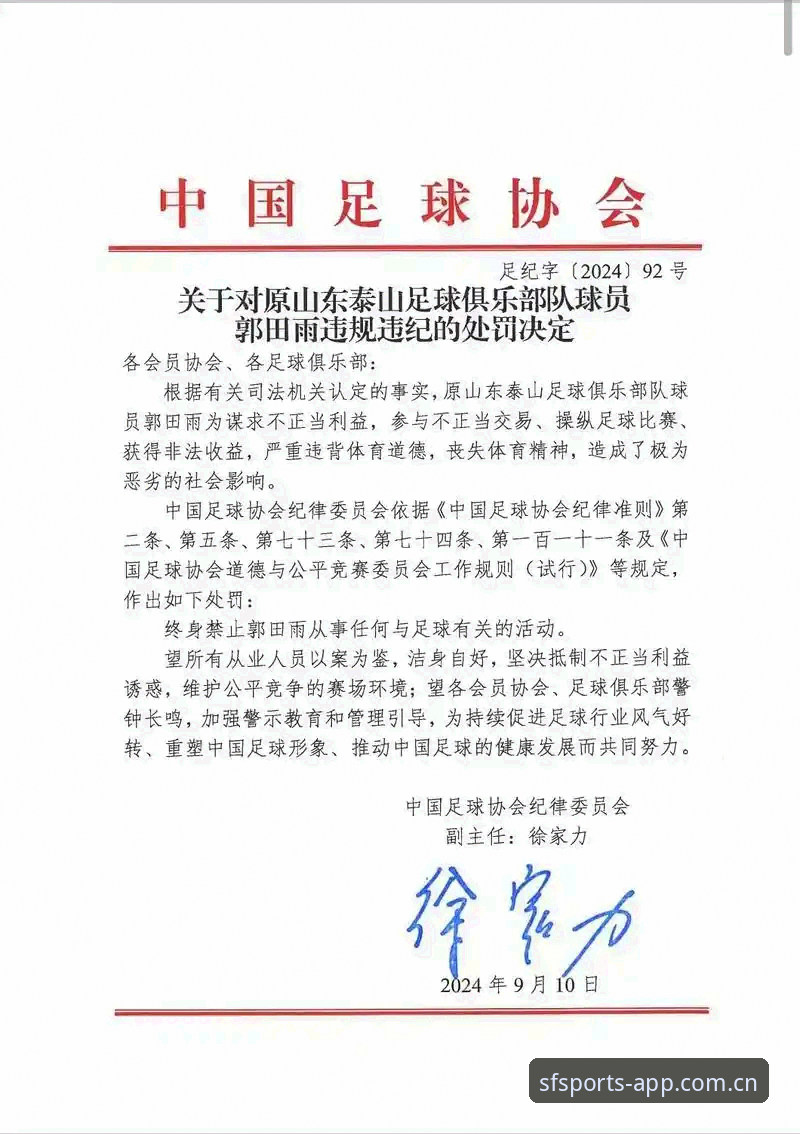 顺发体育安卓流畅版安全吗 中国足协第三批禁足名单详解:65人受罚,行业整顿进入深水区